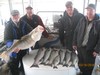 (03/16/2018) - Nice Striped Bass